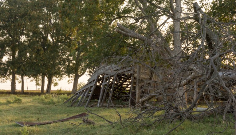 20150925_REllibee_Homestead20089_2