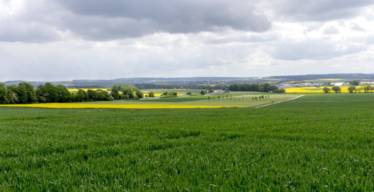 20170519_REllibee_Germany_Website005