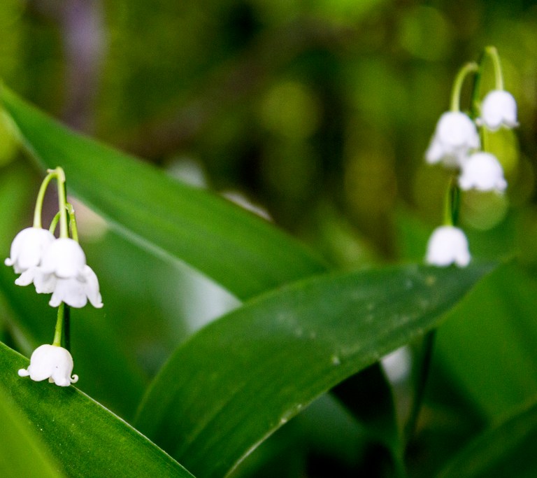 20170519_REllibee_Germany_Website007